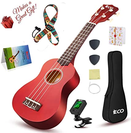 Soprano Ukulele Beginner Kit - 21 Inch w/How to play Songbook Carrying bag Digital Tuner All in One Set