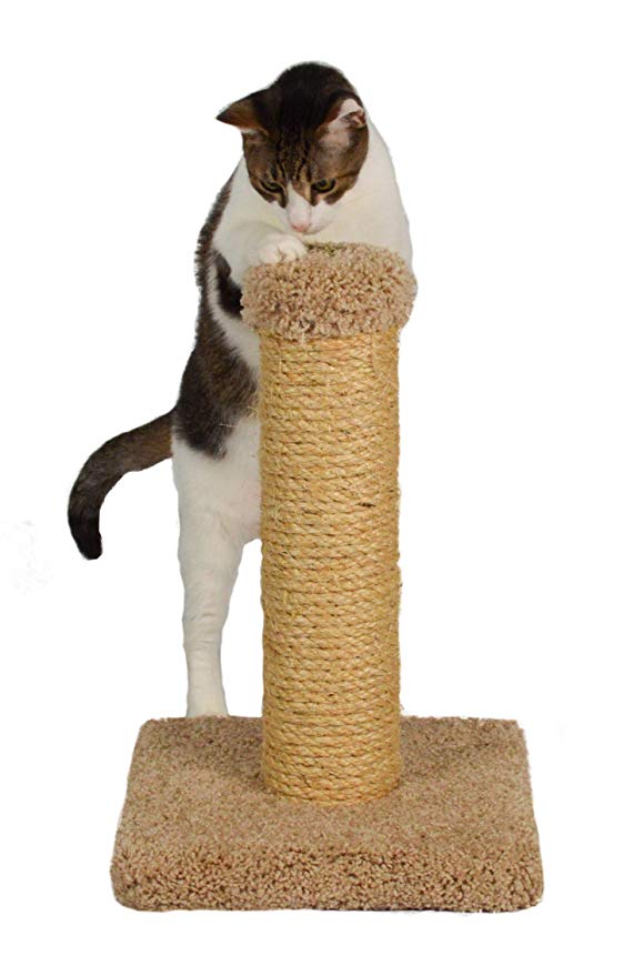 Molly and Friends 17" Scratching Post