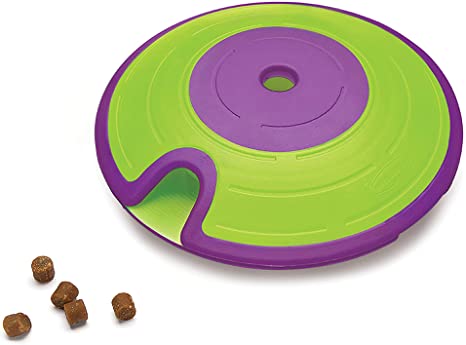 Maze Treat Dispensing Dog Toy Brain and Exercise Game for Dogs, by Nina Ottosson Green/Purple