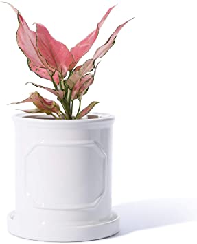 POTEY 050204 Ceramic Pots for Plants - 5.9 inch Cylinder Flower Planters Bonsai Container with Drainage Hole & Saucer for Indoor Plants Flower Aloe Modern Home Decor(Plant NOT Included)