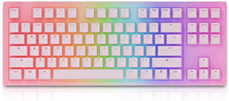 EPOMAKER AKKO Sakura 87 Keys RGB Wired Mechanical Keyboard with Acrylic Translucent Case, PBT Pudding Keycaps for Gaming/Mac/Win (Gateron Orange Switch, Sakura)