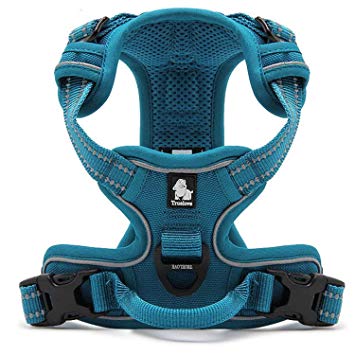 Kismaple Adjustable 3M Refletive Dog Harness, Soft Padded No Pull Outdoor Training/Walking Pet Vest with Handle, Puppy Chest Vest Harness for Small Dogs (S (43-56cm), Blue)