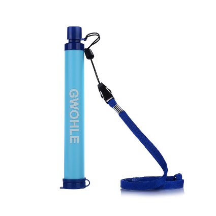 GWHOLE Portable Water Purifier Straw for Camping Hiking Backpacking
