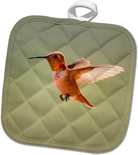 3dRose Rufous hummingbird, Selasphorus rufus. - Potholders (phl_332215_1)