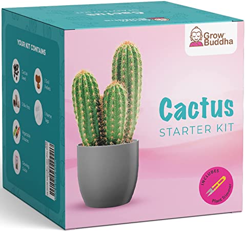 Cactus Kit Grow Your Own Cactus Seeds Starter Kit | Plants, Seeds & Bulbs | Easily Grow Beautiful Varieties of Cactus Plants with Complete Beginner Indoor Cacti Kit – House Plant - Men Women Gifts