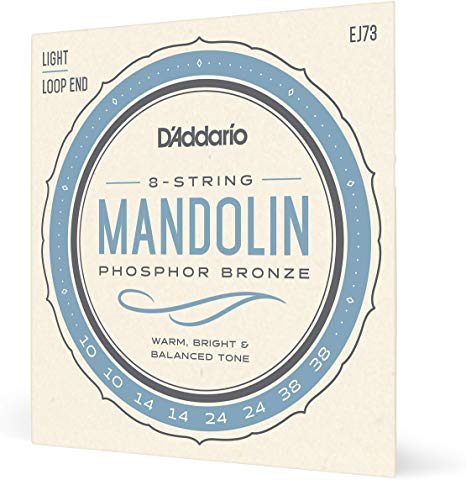 D'Addario EJ73 Phosphor Bronze Mandolin Strings, Light, 10-38