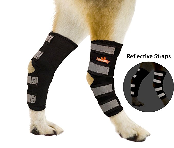 NeoAlly Dog Rear Leg Braces [PAIR] Canine Hind Hock Joint Sleeves with Safety Reflective Straps for Injury and Sprain Protection, Wound Healing and Loss of Stability from Arthritis (Pair)