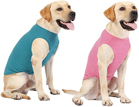 WEONE Dog Summer T-Shirts Striped Cotton Vest,Pet Breathable Soft Basic Clothes for Small Medium Larg Boy Girl Dogs,XXL