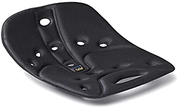 BackJoy SitSmart Fabric Posture Cushion | Lumbar Support for Lower Back Pain| Improve Posture|Portable for Car/Office/Hard Surface/Desk Chairs Outdoor Surfaces|for Adults