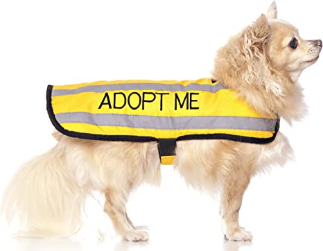 Dexil Limited Adopt ME Yellow Warm Dog Coats S-M M-L L-XL Waterproof Reflective Fleece Lined (New Home Needed) Donate to Your Local Charity
