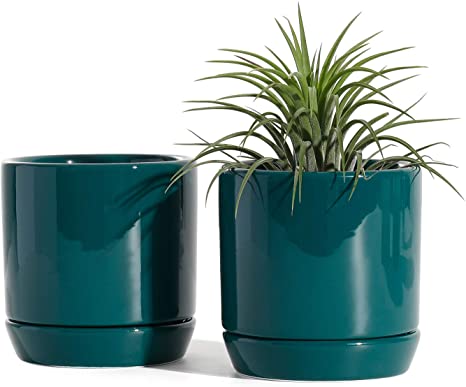 Succulent Planters Pots for Plants Indoor - 3.1 Inch Glazed Ceramic Small Plant Pot with Drainage Hole & Saucer Indoor for Home Decor(POTEY 055304, Set of 2, Plants NOT Included) lants NOT Included