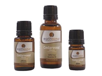 Cedarwood Atlas Essential Oil 15 ml (1/2 OZ) 100% Pure, Undiluted, Therapeutic Grade.