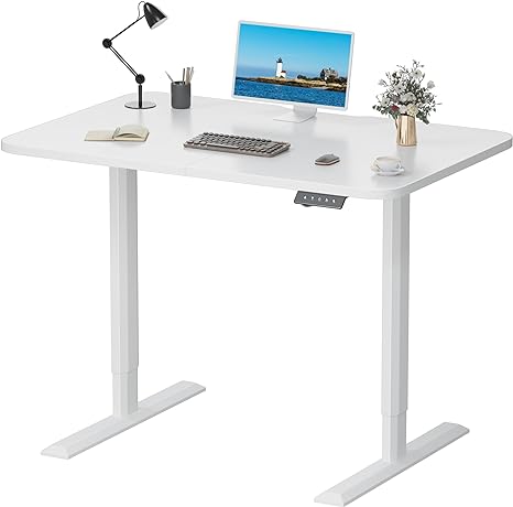 Flamaker Standing Desk, Electric Adjustable Height Stand up Desk, 44 x 24 Inches Home Office Computer Desk with T-Shaped Metal Bracket and Memory Preset, White