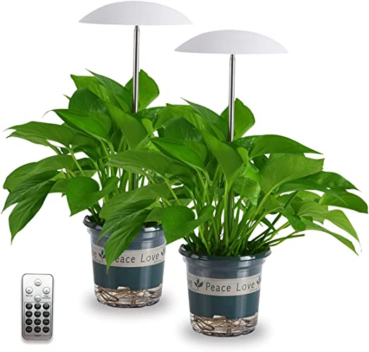 LED Grow Light for Indoor Plants 2 Pack, Intelligent USB Small Plant Lights with Remote Controller, Height Adjustable, Automatic Timer, Ideal for Home Decoration
