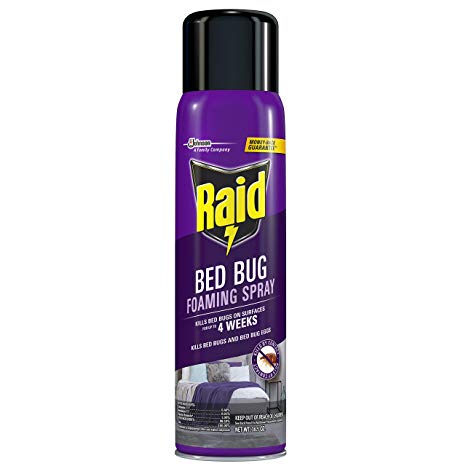 Raid Bed Bug Foaming Spray, 16.5 OZ (Pack - 1)