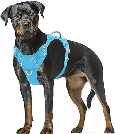 BARKBAY No Pull Dog Harness Large Step in Reflective Dog Harness with Front Clip and Easy Control Handle for Walking Training Running with ID tag Pocket(Blue,XL)