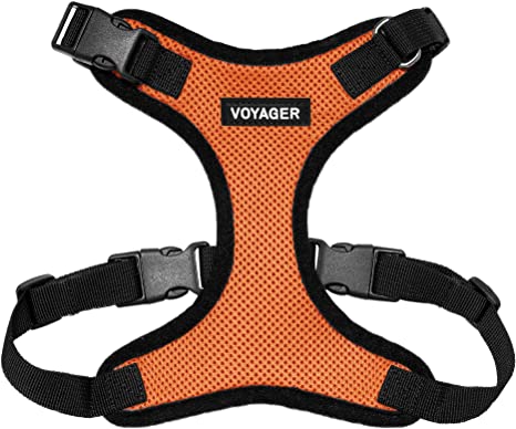 Voyager Step-In Lock Pet Harness – All Weather Mesh, Adjustable Step In Harness for Cats and Dogs by Best Pet Supplies