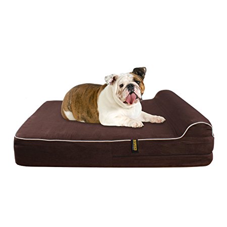 Large 5.5'' Orthopedic Memory Foam Dog Bed With 2.5'' Pillow - Includes Waterproof Inner Protector & Removable Cover - Dark Chocolate Color