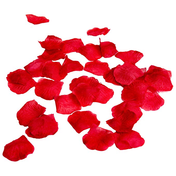 Royal Imports Red Silk Flower Artificial Rose petals Wedding Aisle, Party Favor & Table, Vase, Home Decoration, 1000 PCS