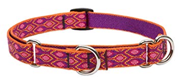 Lupine Alpen Glow Martingale Combo Collar for Small to Medium Dogs