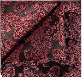 KissTies Mens Paisley Pocket Square Hanky