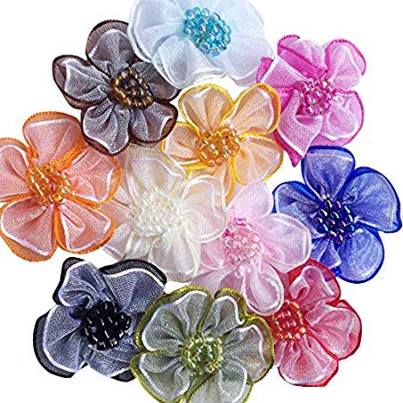 Chenkou Craft 40pcs Organza Ribbon Flowers with Beads Appliques (Mix)