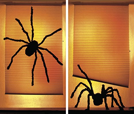WOWindow Posters - Shady Spiders Wow Windows