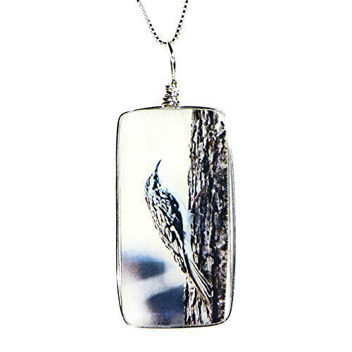 Handmade Glass Bird Necklace: Original Brown Creeper Image Fused to Artisan Made Pendant on Italian Sterling Silver