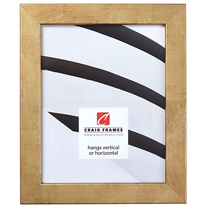 Craig Frames Bauhaus 125 Picture Frame, Tarnished Gold, 24 x 30 Inch