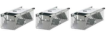 Havahart 1025 Small 2-Door Live Animal Trap – Ideal for catching Squirrels, Chipmunks, Rats, Weasels (Pack of 3)