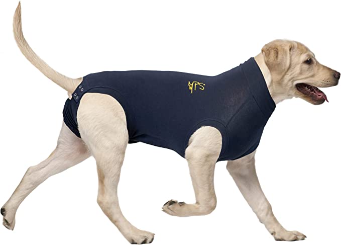 MPS Medical Pet Shirt Dog, Surgery Recovery Suit, Blue, Medium