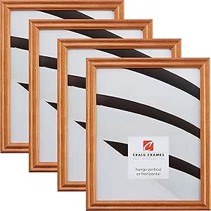 Craig Frames 200ASH105 20 x 30 Inch Picture Frame, Natural Brown, Set of 4