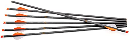 CenterPoint Archery CP400 Select 400-Grain 20-Inch Carbon Arrows AXCCA20TPK, Pack of 6