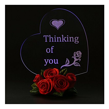 Giftgarden LED Gift Heart Decor Friends Gift for Someone Thinking of You