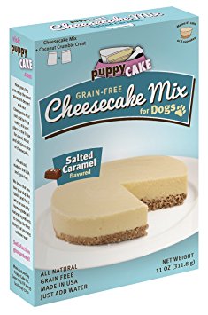 Grain-Free Cheesecake Mix for Dogs with Coconut Crumble Crust - Just Add Water for Cake for Dogs in Salted Caramel Flavor