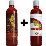Argan Oil Shampoo and Hair Conditioner Set - Argan Jojoba Almond Oil Peach Kernel Keratin - Sulfate Free - Safe for Color Treated Damaged and Dry Hair - For Women Men Teens and All Hair Types