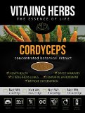 Cordyceps Mushroom Extract Powder 2oz-57gm