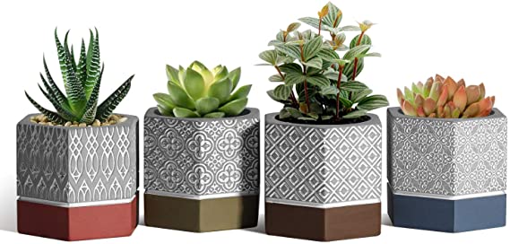 T4U Cement Succulent Pot Carved Hexagon Collection Set of 4, Small Planter Concrete Geometric Cactus Container, Modern Colorful Flower Succulent Holder with Drainage Hole for Home and Office Decor
