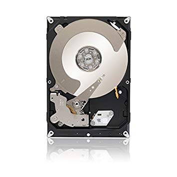 Seagate Enterprise Value HDD - Cloud Storage - 3 TB 7200RPM 6Gb/s 64 MB Cache 3.5 Inch Internal Bare Drive (ST3000NC000)