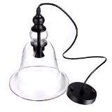 Us StockHomdox Vintage Big Bell Glass Shade Ceiling Haning Pendant Light Fixture Glass Shade Replacement