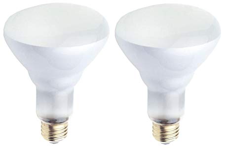 Westinghouse Lighting Corp 65-watt Flood Beam Light Bulb (Pack of 2)