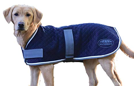 Weatherbeeta Thermic Dog Coat