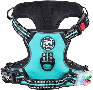 PoyPet No Pull Dog Harness, No Choke Front Lead Dog Reflective Harness, Adjustable Soft Padded Pet Vest with Easy Control Handle for Small to Large Dogs(Mint Blue - LED-L)