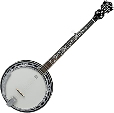 Ibanez B300 5-String Closed-Back Acoustic Banjo