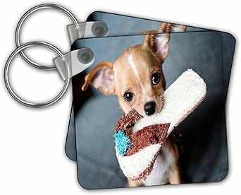 3dRose Key Chains Image of Cute Chihuahua With Slipper In Mouth (kc-255366-1)