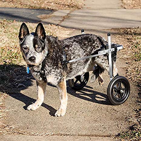 K9 carts outlet dog wheelchair