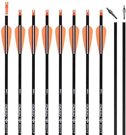 Carbon Arrow Practice Hunting Arrows with Removable Tips for Archery Compound & Recurve & Traditional Bow (Pack of 12)