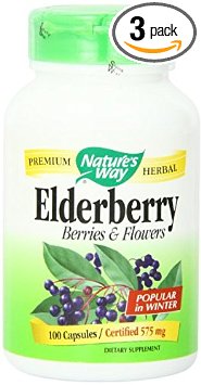 Natures Way Elderberry Capsule 575 Mg - 100 per pack -- 3 packs per case
