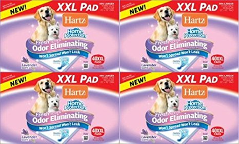 Hartz Home Protection Lavender Odor Eliminating Dog Pads, XXL 160ct (4 x 40ct)