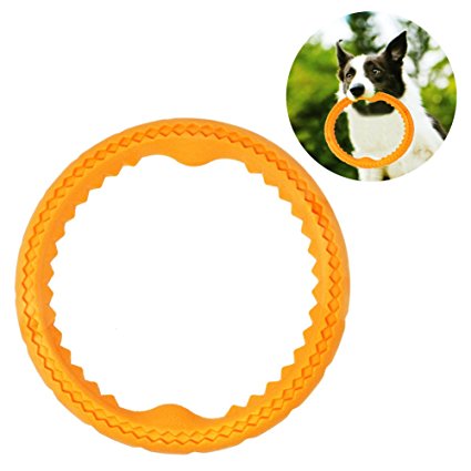 Bascolor Dog Toys Interactive Flying Disc 9.8 Inches Dog Frisbee Ring Mango Flavor for Medium Large Dog Chew Toys